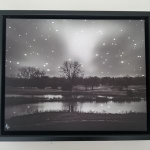 Framed Canvas Picture